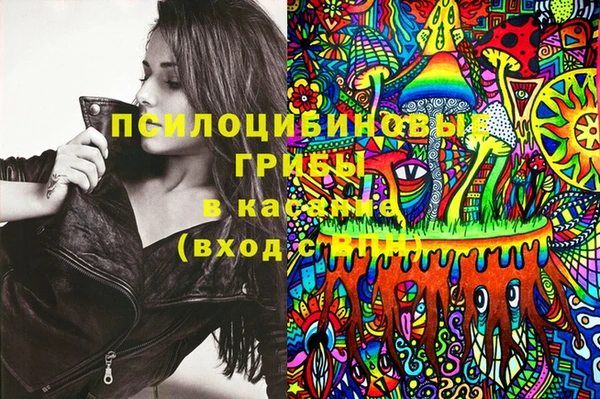молекула духа Строитель