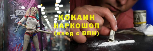 твердый Елизово