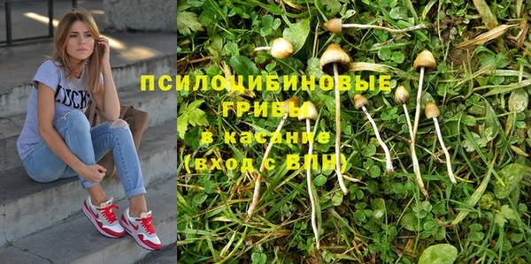 твердый Елизово