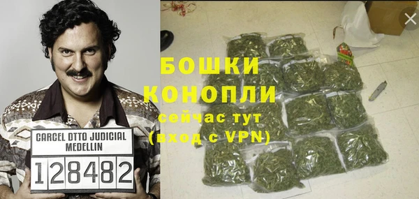 прущие грибы Струнино