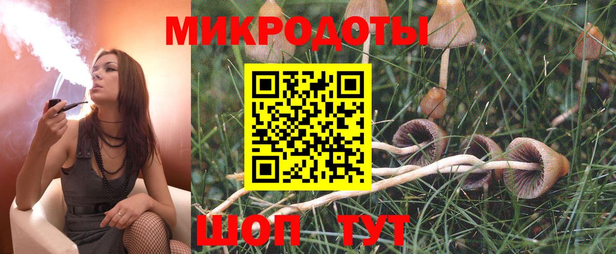 Псилоцибиновые грибы GOLDEN TEACHER  Псилоцибиновые грибы Psilocybe  Ирбит  Вход с VPN 